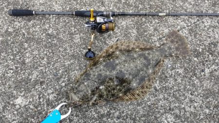 ヒラメ釣り、何じゃこれは!?