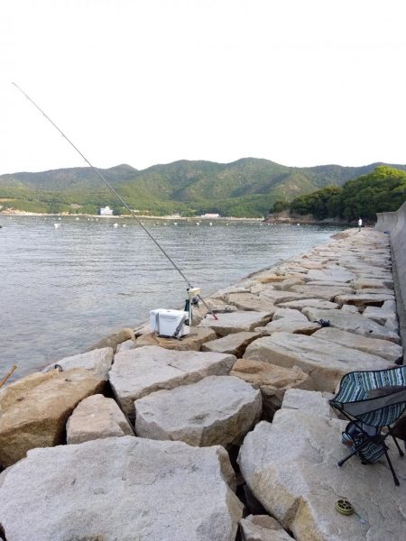 室津のキス釣り