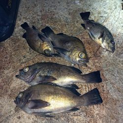 林崎漁港から移動してみました♪