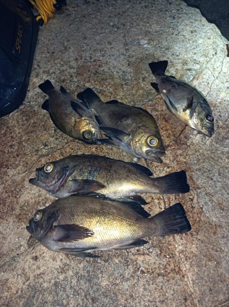 林崎漁港から移動してみました♪