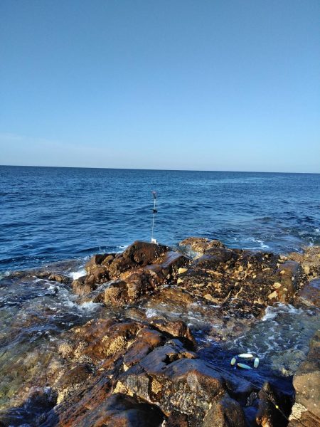 フカセ‥最高ですネ・・