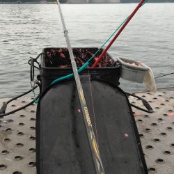 フカセ‥最高ですネ・・