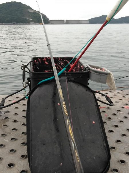 フカセ‥最高ですネ・・