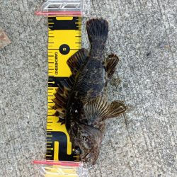 ~風の強い夕方に~