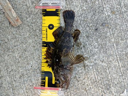 ~風の強い夕方に~