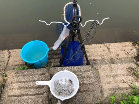 宇曽川コアユ爆釣です