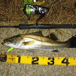 水位の高いコンディションでのカケアガリの攻め