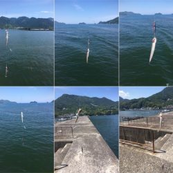 ジグサビキで爆釣!