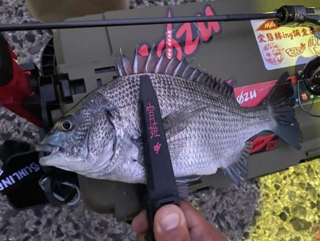 宵姫天S52UL鱗付け