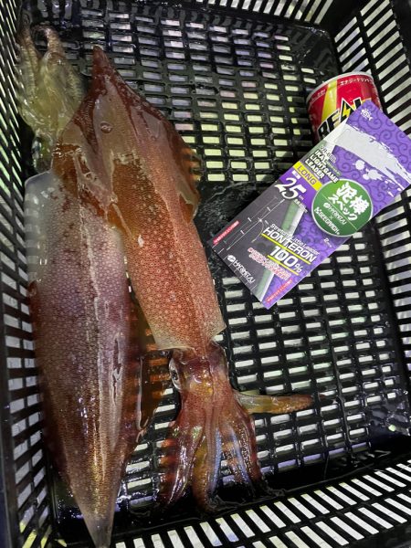 鳥取沖でイカメタル