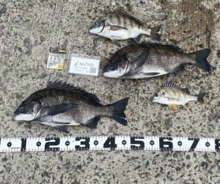 朝の満潮付近の時間帯