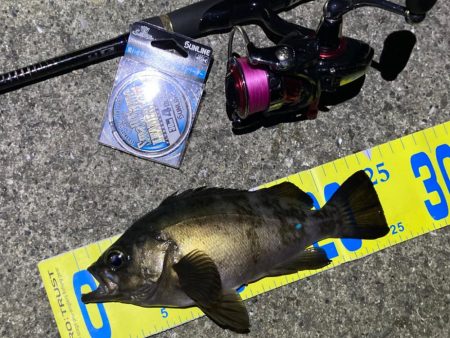 いいサイズ揃いました