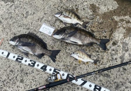 天気予報はくもりのち午前から雨。