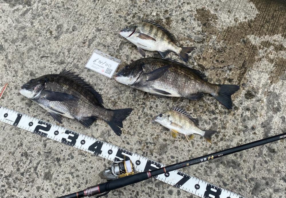 釣り終了間際に雨