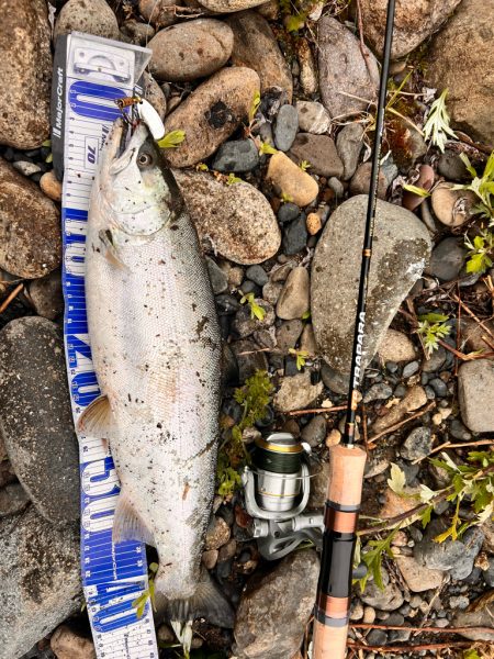 河川ルアーフィッシング