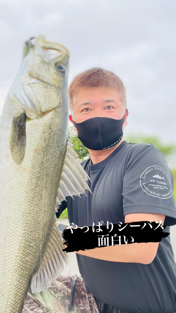 庭の魚たち