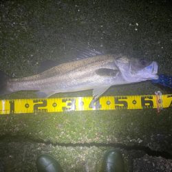 初ウェーディング