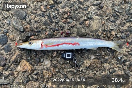 本命は釣れず。