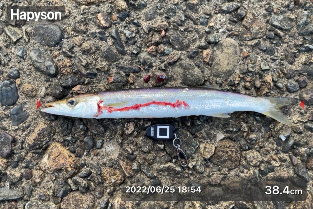 本命は釣れず。