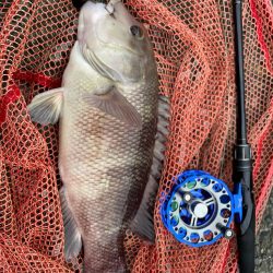 自己記録更新！