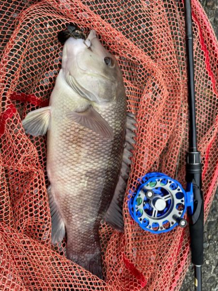 自己記録更新！