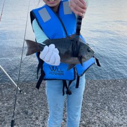 さかなちゃん釣り日記 本荘人口島