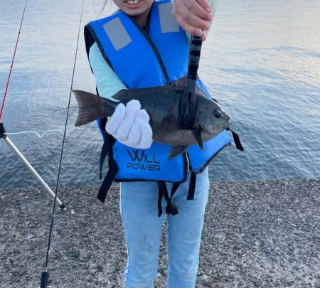 さかなちゃん釣り日記 本荘人口島
