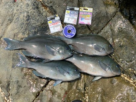 尾長を求めて‼︎