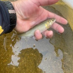 滋賀県　大戸川