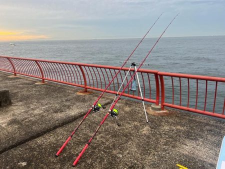 平磯海づり公園での釣り