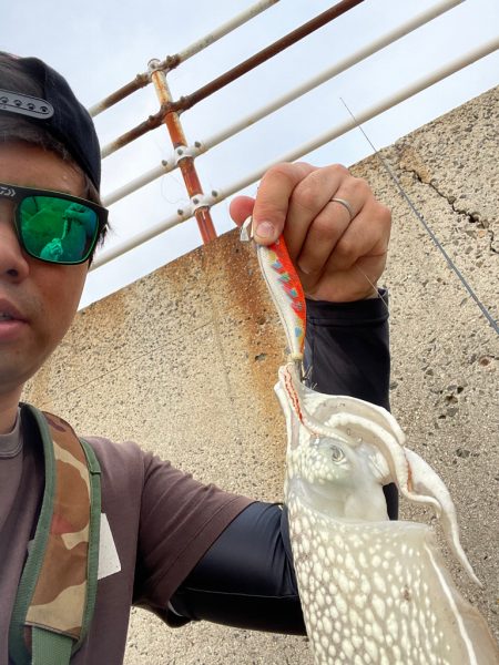 夕まずめ1時間エギング