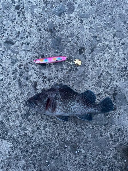 6月22日ヒラメ釣行！