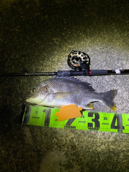 ヘチってきました