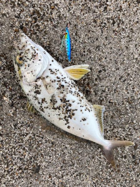 吹上浜五目釣り