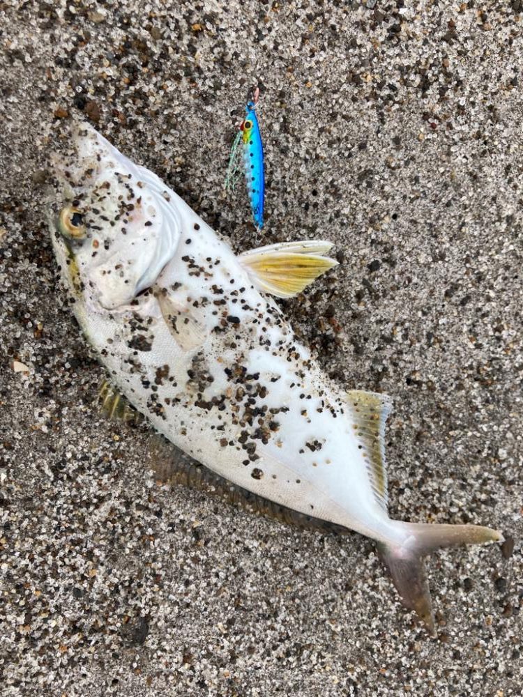 吹上浜五目釣り