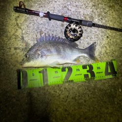 ヘチってきました