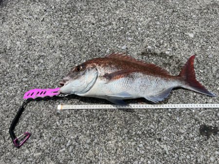 最後のグロッキー、まさかの大物（笑）