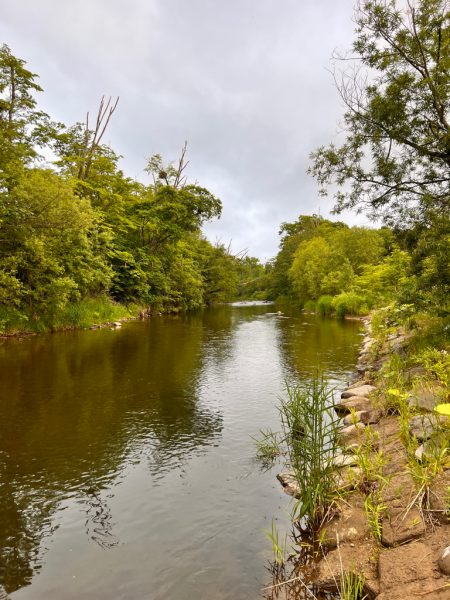 渓流ルアーフィッシング