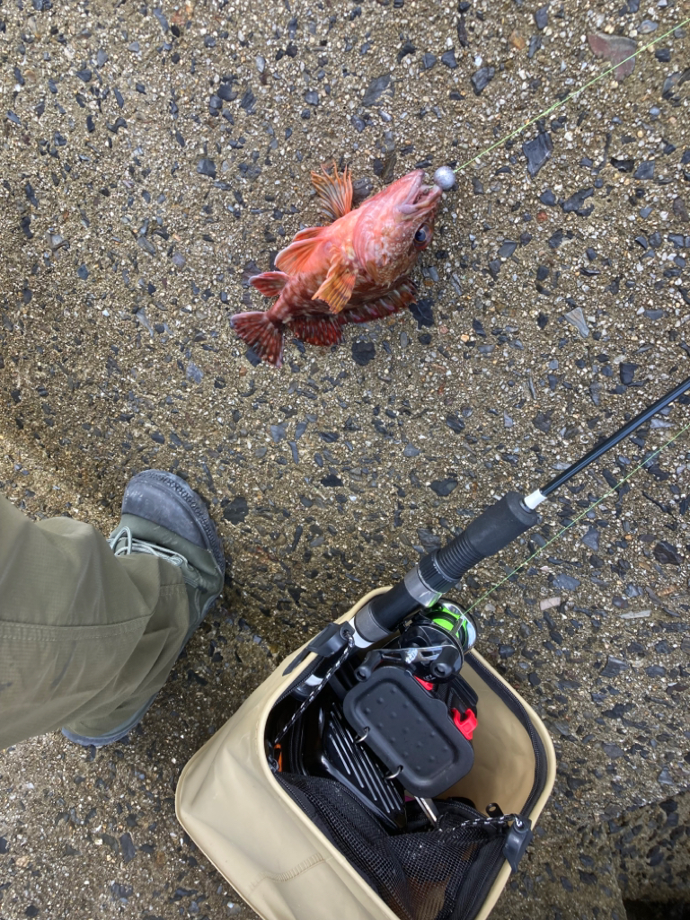 2022穴釣り15回目