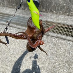 デジャブー⁉️…