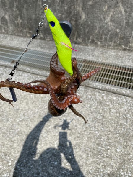 デジャブー⁉️…