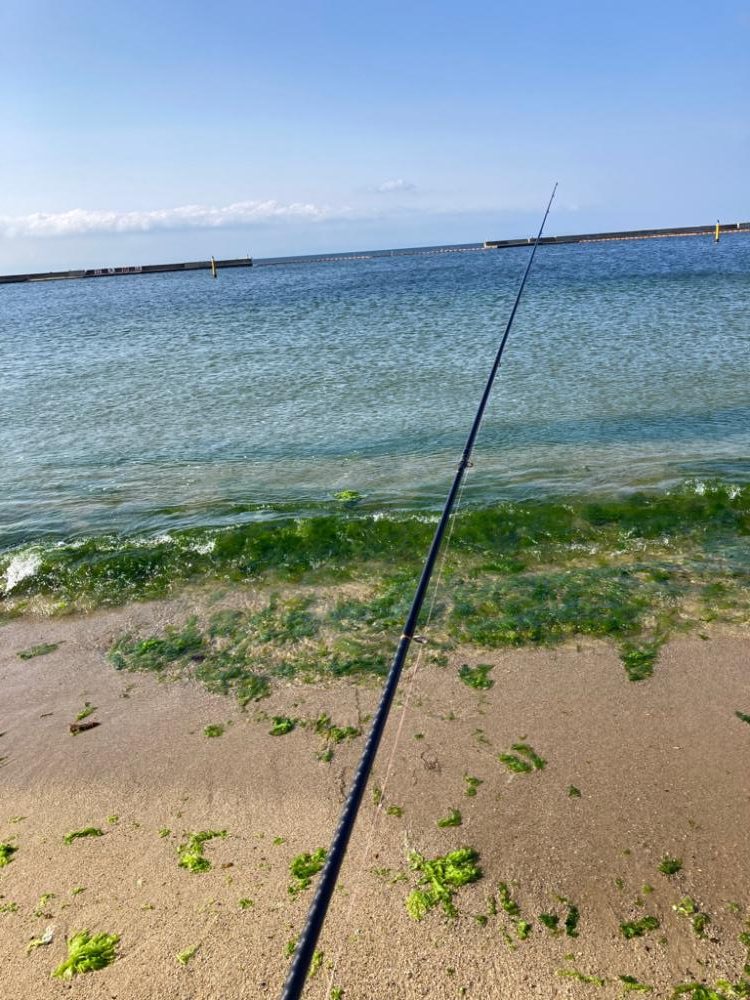 須磨海岸キス狙い