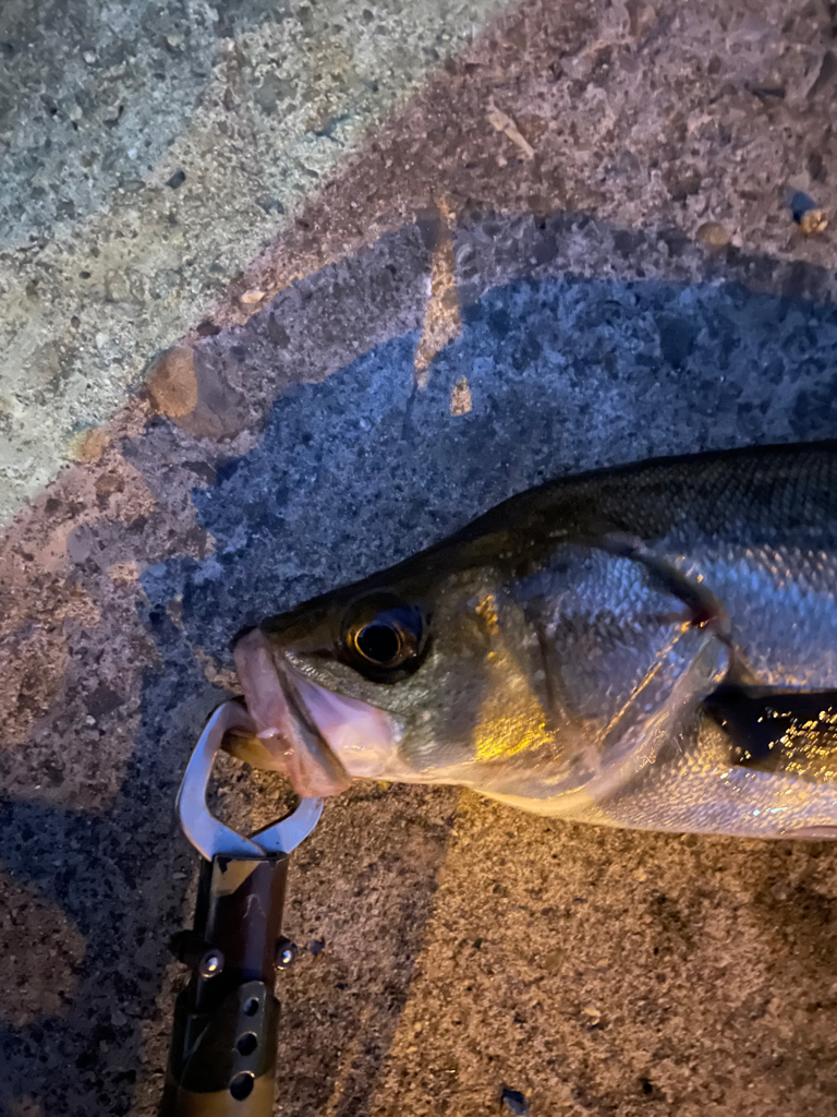 最近、バラしてばかり