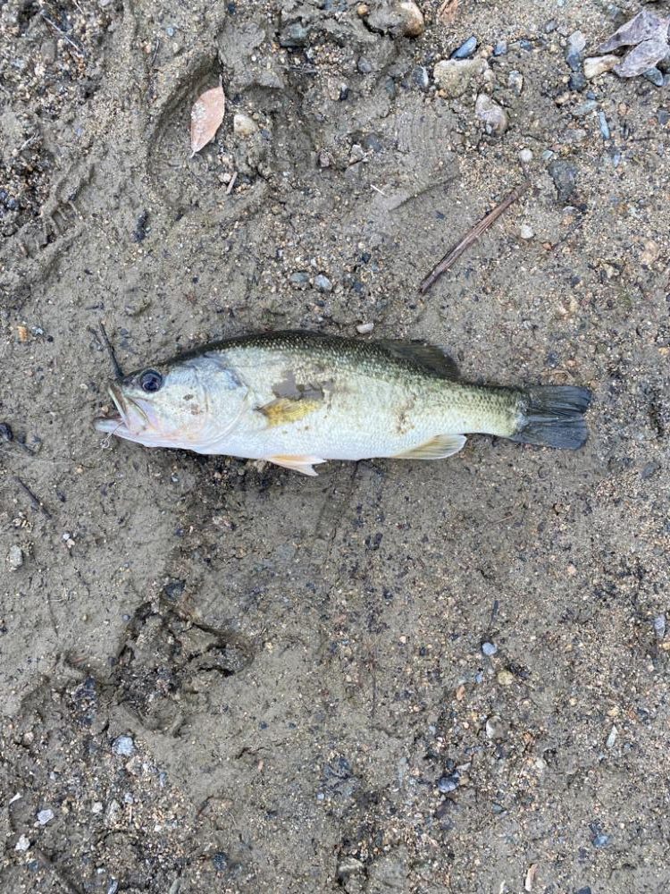 久しぶりの釣行！