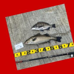 場所移動で挑む。