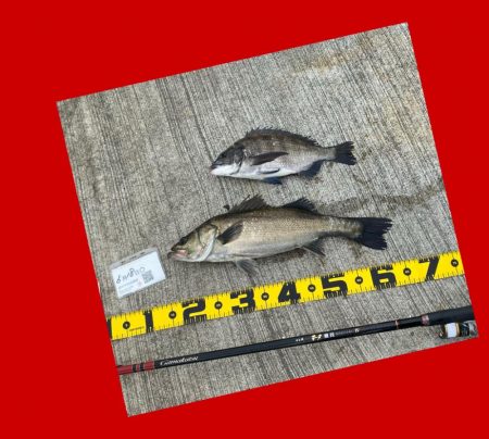 場所移動で挑む。