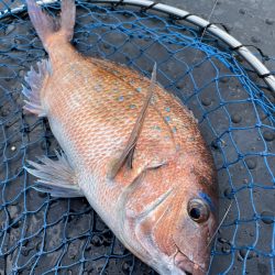 じゃのひれフィッシングパークさんにて