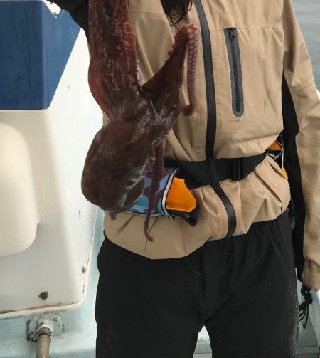 今シーズン初のマダコ釣り！