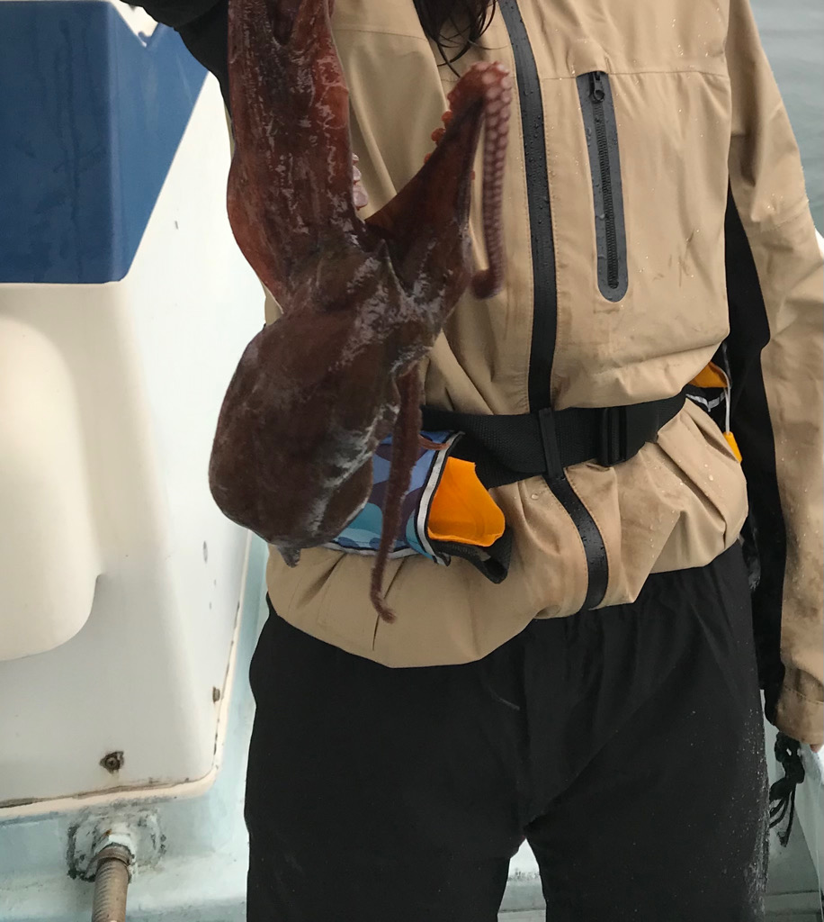 今シーズン初のマダコ釣り！