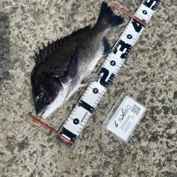 天気回復。更に